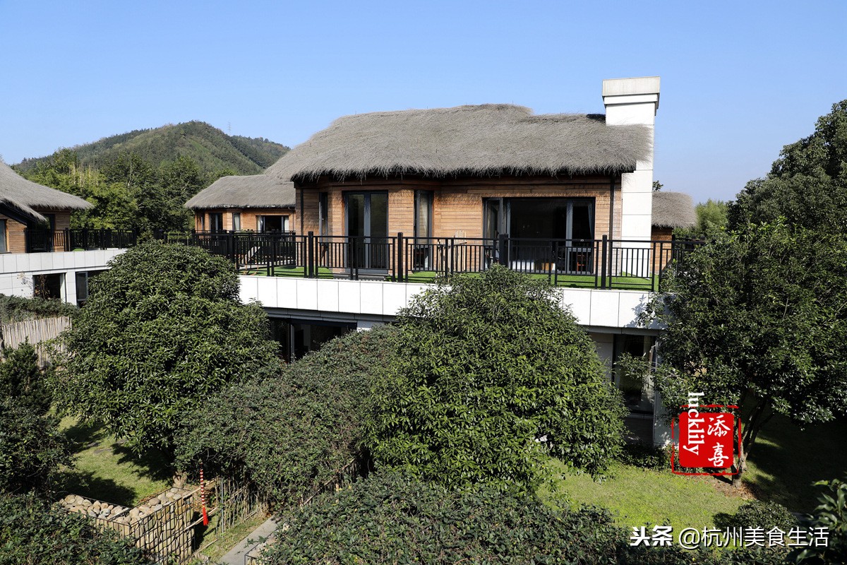 「杭州美食生活」径山淡竹元民宿，享受禅茶竹韵慢生活