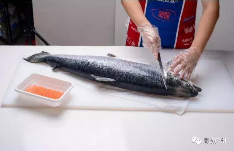 挪威官方三文鱼,挪威三文鱼哪家正宗