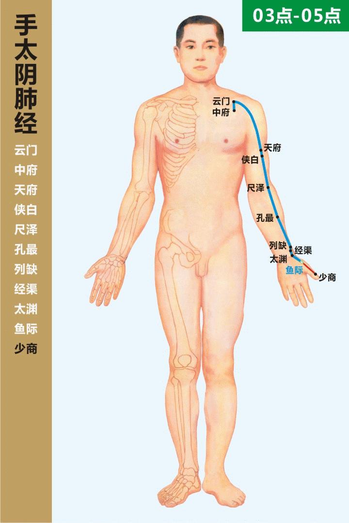 零基础学习中医按摩,零基础学中医按摩