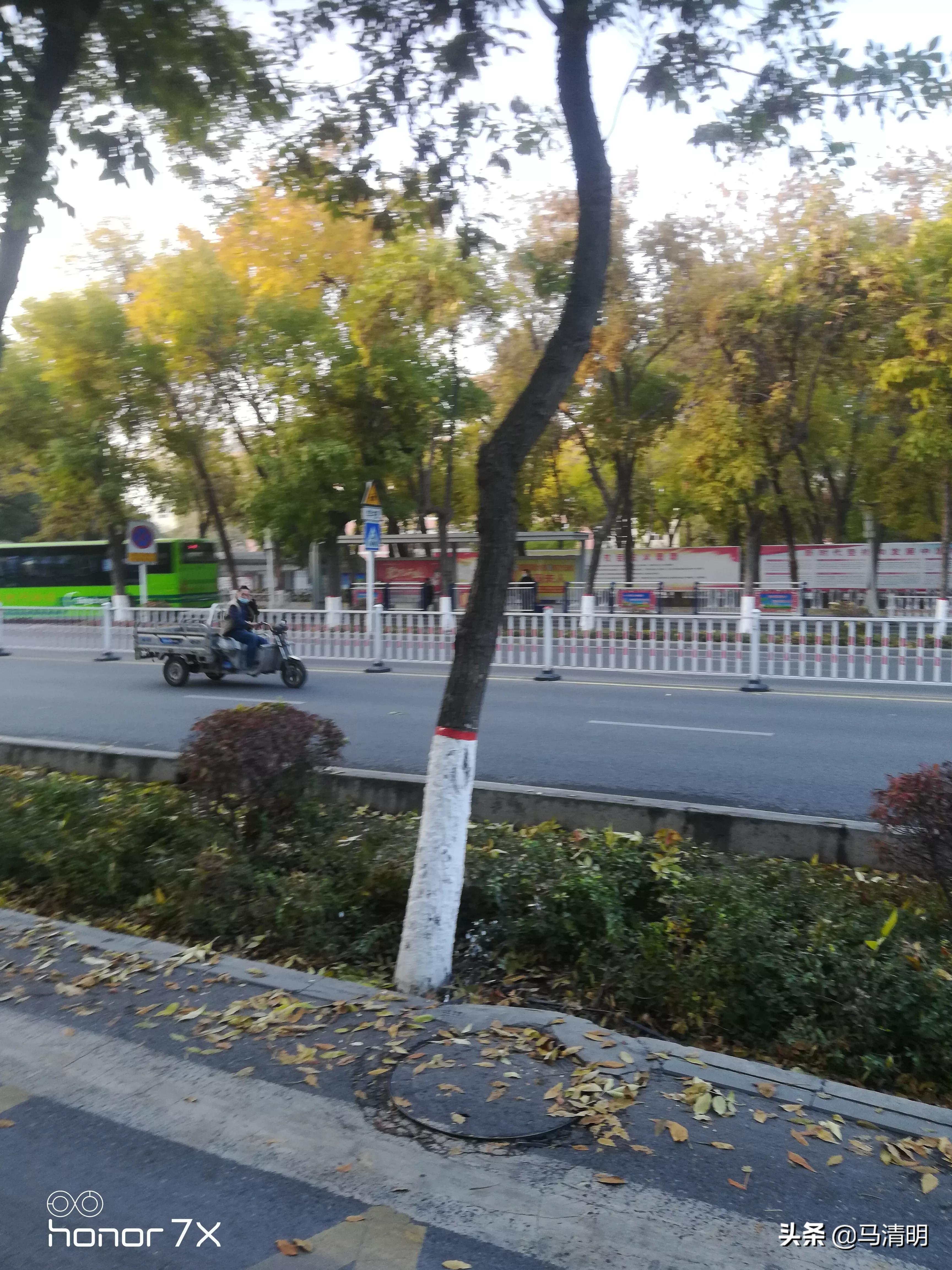 我眼中的石河子,我眼中的新疆石河子