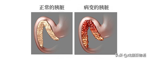 尽快！腺*工罢**！狗狗情况危急