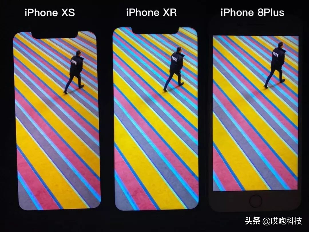 iphone11和xr还有xs怎么选,苹果11和xsmax有什么区别哪个好