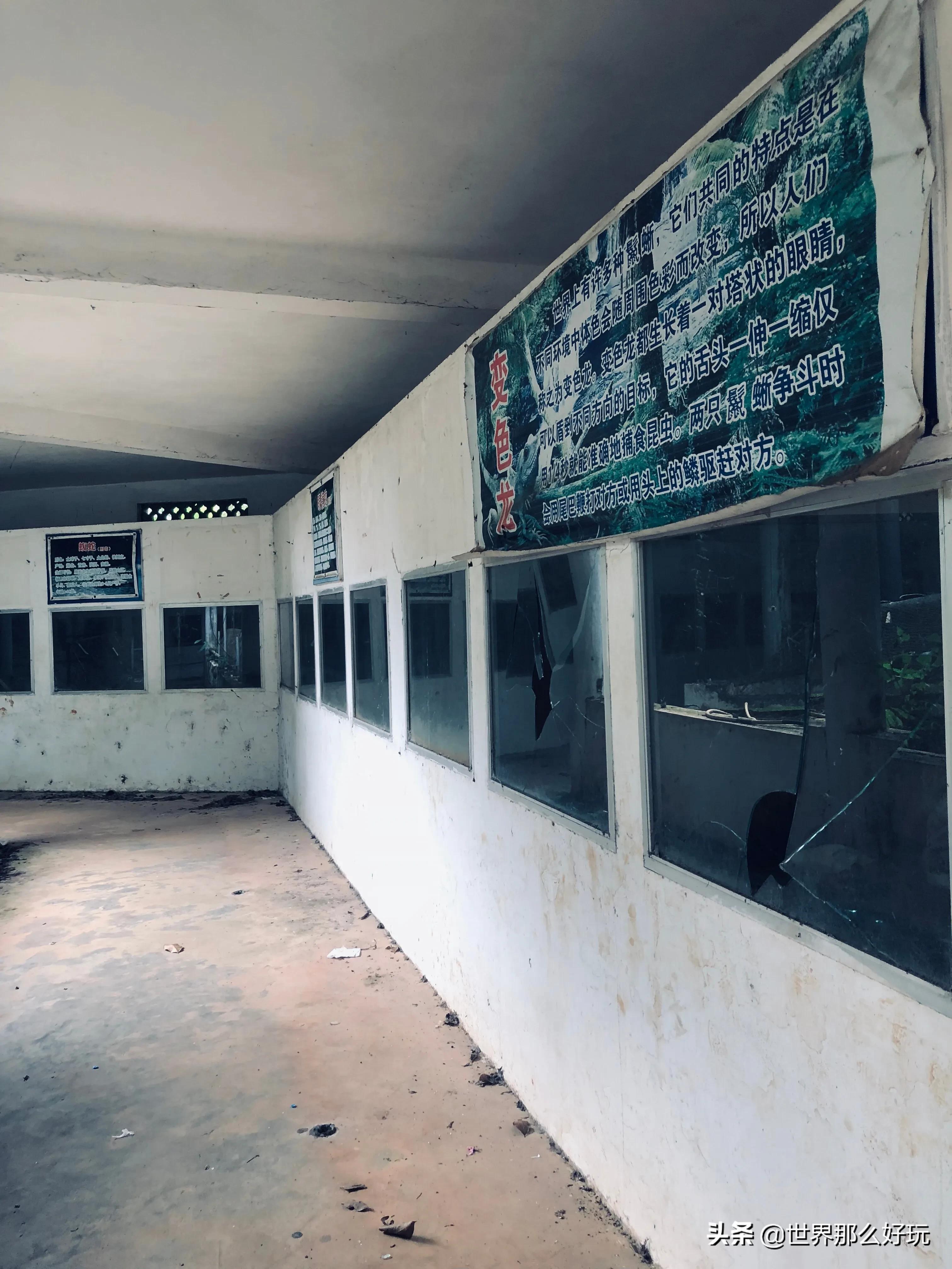 海南金牛岭动物园视频,海口金牛岭公园现在还有动物园吗