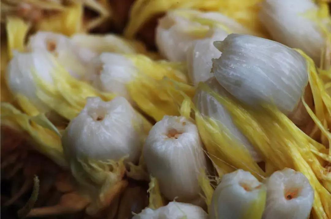 他的工作是厨师的英文,他的工作是什么英文句子