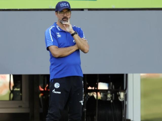 主政19年的*b大**oss被球迷骂下台，沙尔克04危机全面爆发