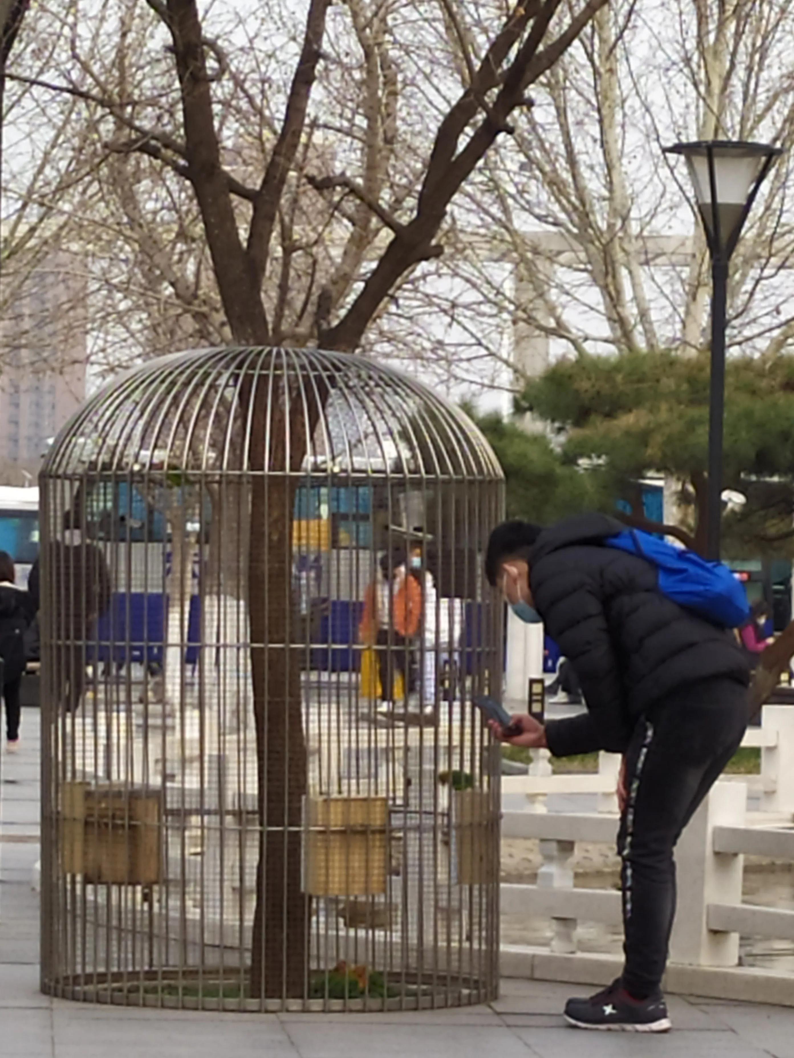 东方时尚驾校微博,东方时尚驾校相关视频