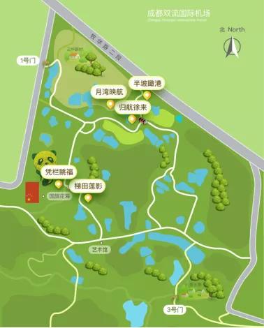 在空港花田里怎么拍照好看,每张都是屏保