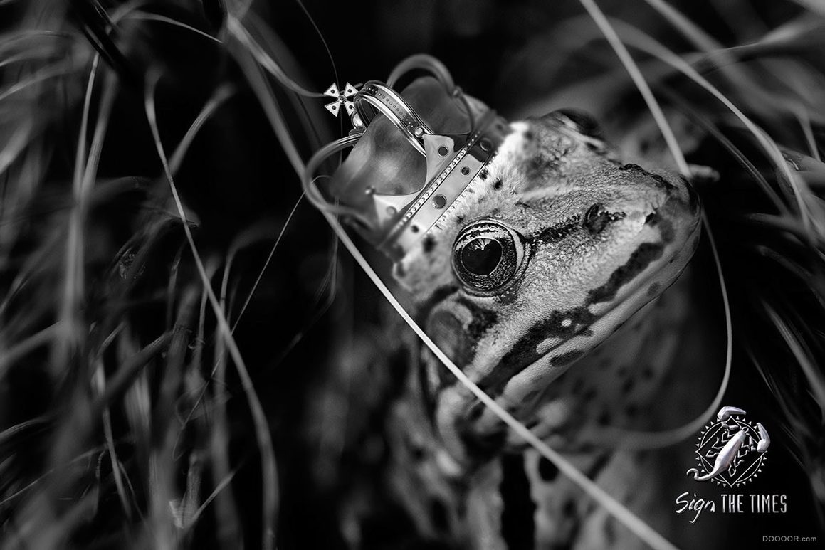 创意脑洞广告,创意外国广告