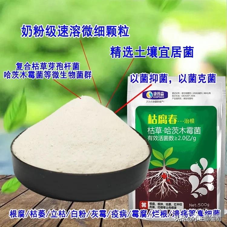 微生物菌剂治病,植物通用微生物菌剂