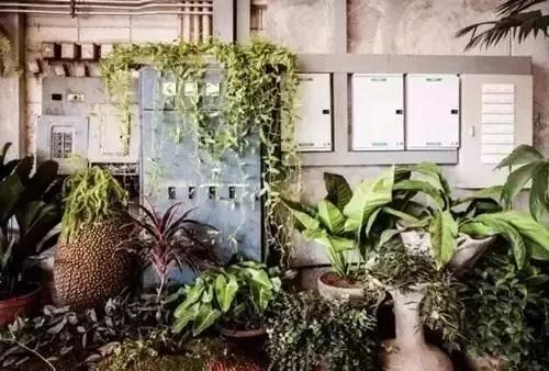 如何打造农场赚钱,家庭农场和休闲农庄怎么做才赚钱