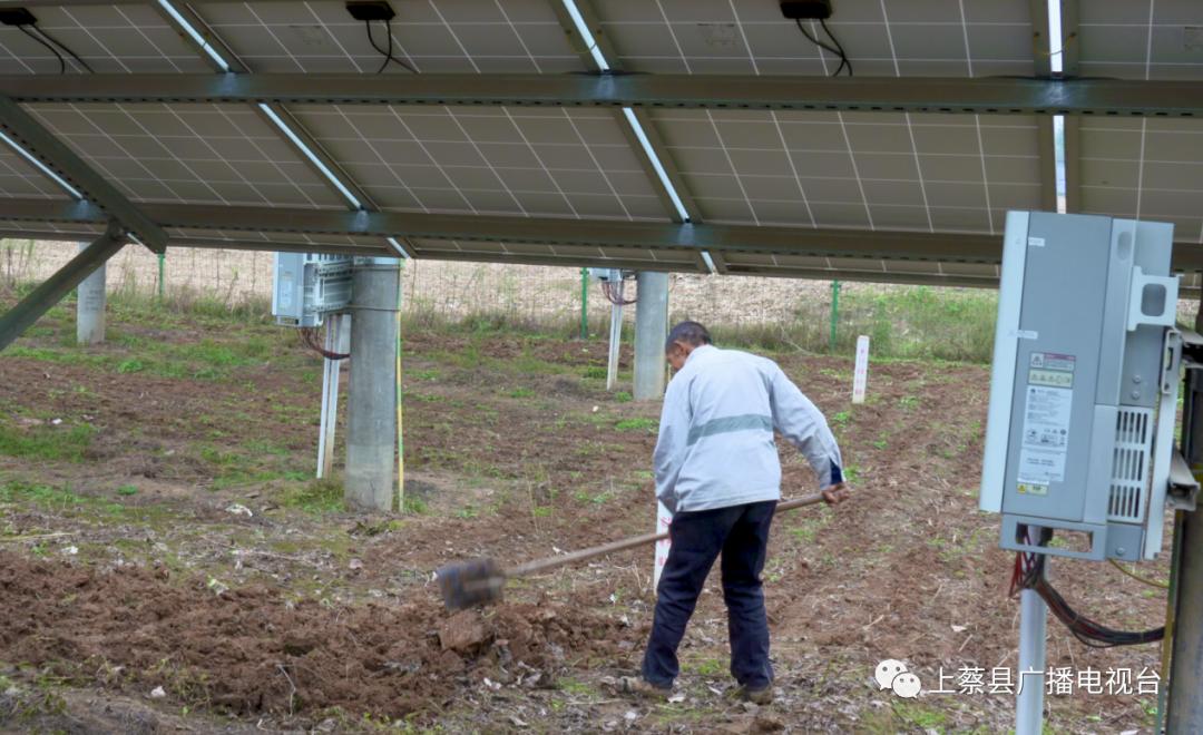 上蔡县朱里镇拐子杨村,全国文明村拐子杨村