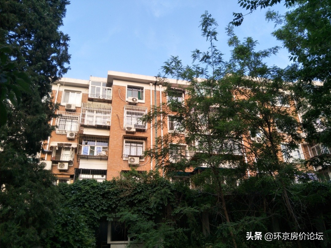 天津实验小学私立学校,天津市实验小学分校