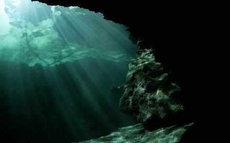 本以为是个恶心的臭水塘，没想到水下居然美到炸裂