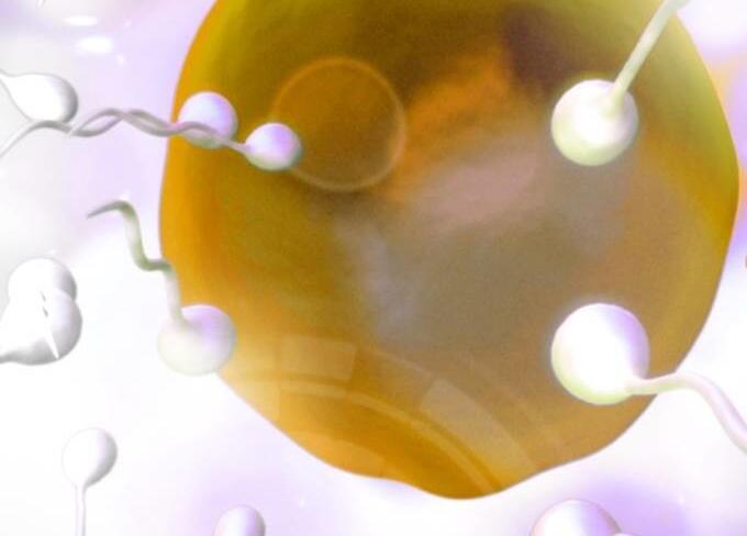 不孕不育毁掉了幸福生活,不孕不育大部分都是女生的问题吗