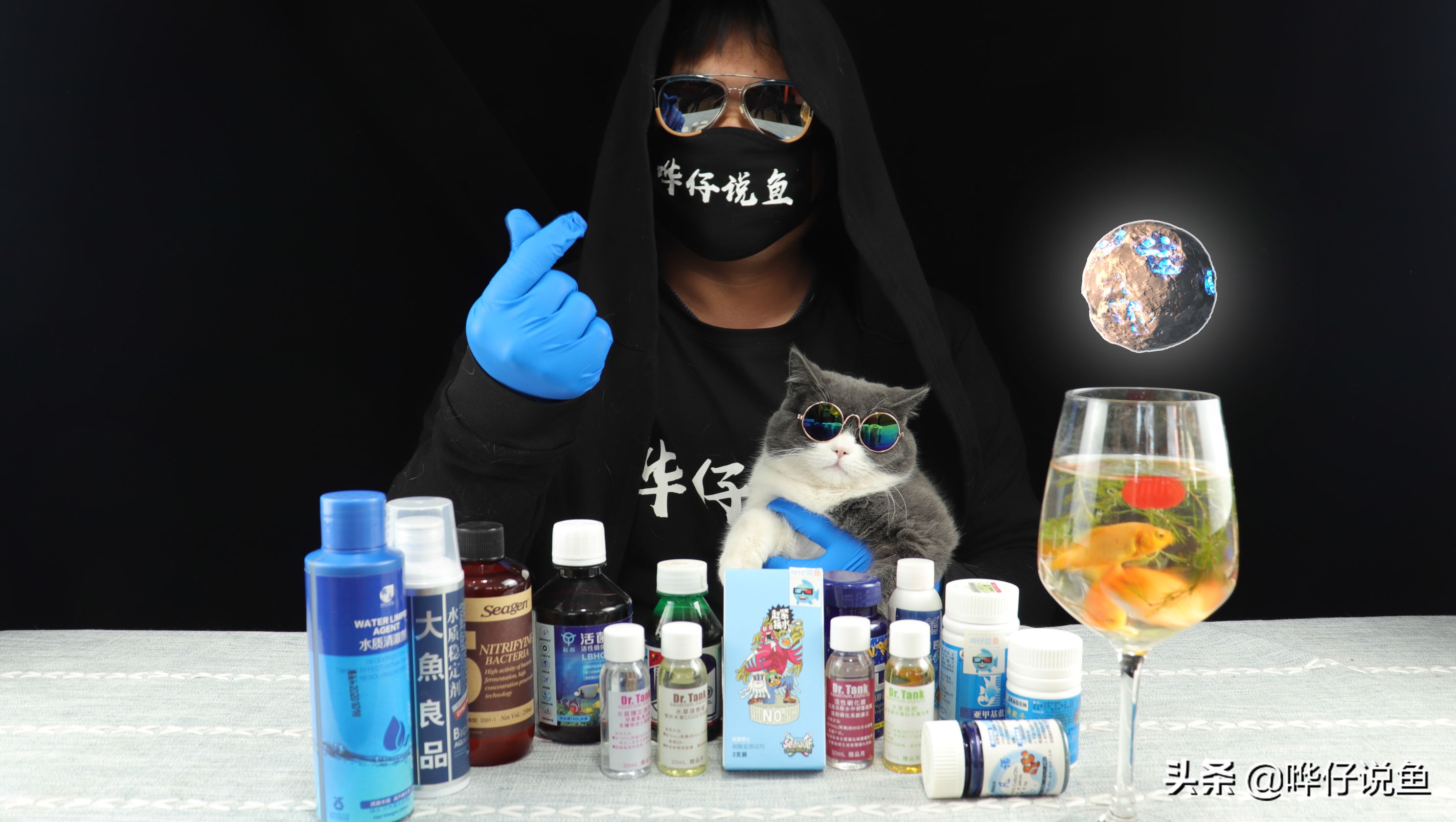 养锦鲤小窍门,养锦鲤必备三种药