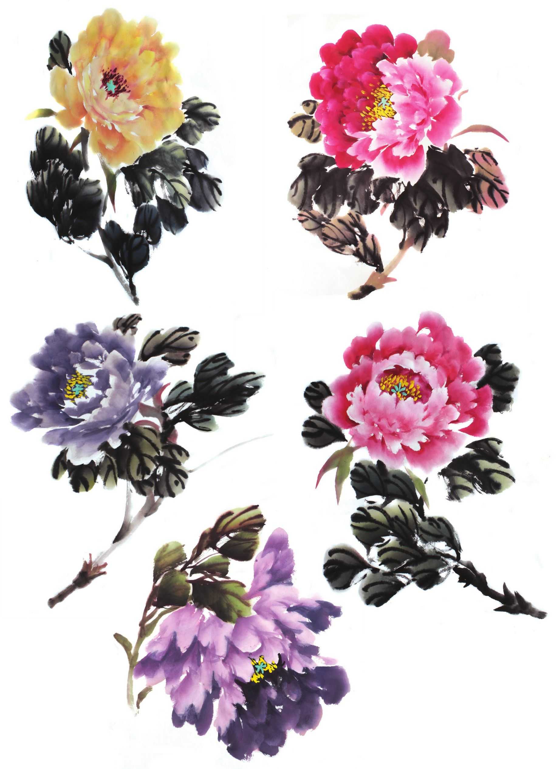 各种花的画法教程简笔画,各种花的画法大全简单漂亮