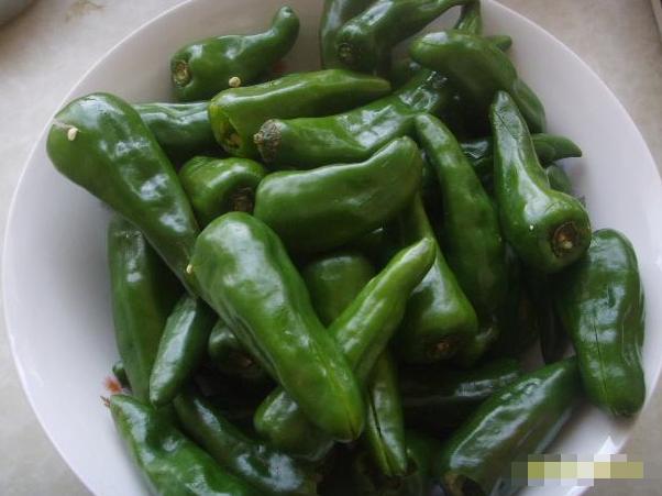 腌辣椒怎么腌好吃不会坏,腌辣椒咸菜要不要焯水