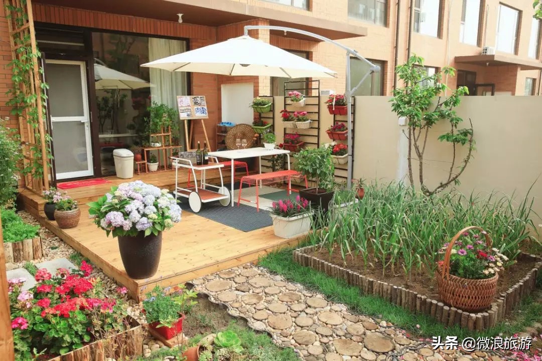 白鹭湾的“选美大赛”，谁是你心中最美的“姑娘”