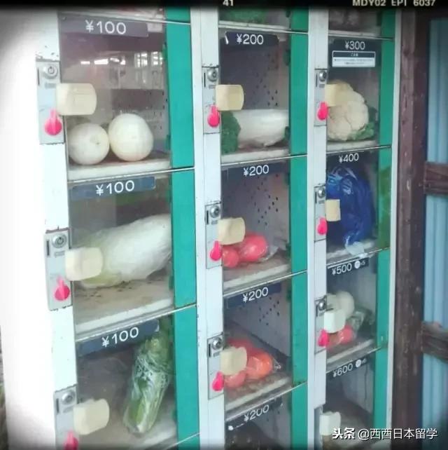 日本自动贩卖机器,日本自动贩卖机能买到什么