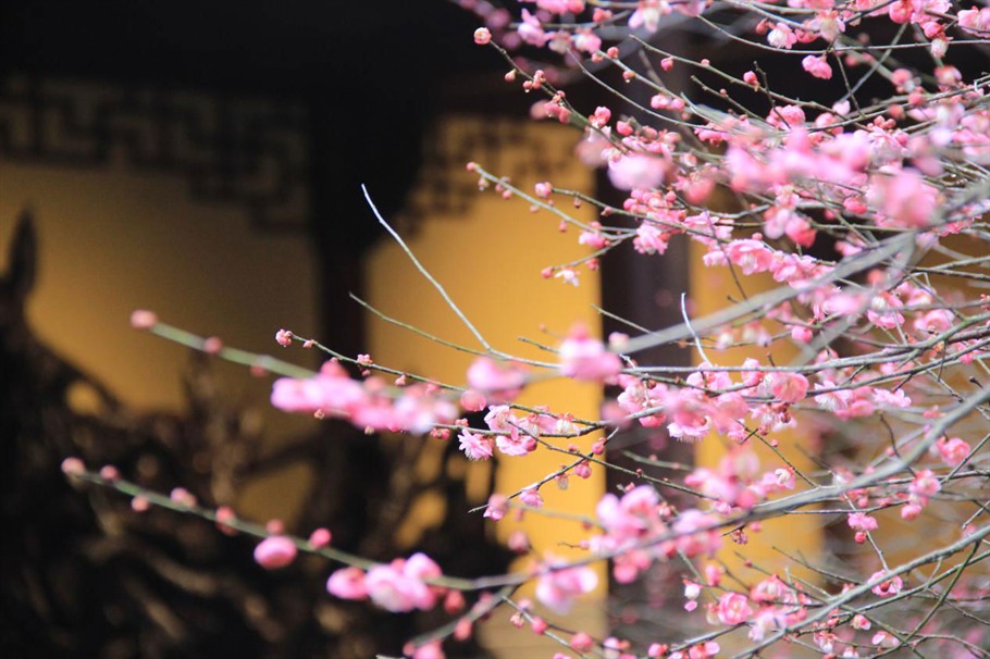 根博园根雕,根宫佛国根雕视频