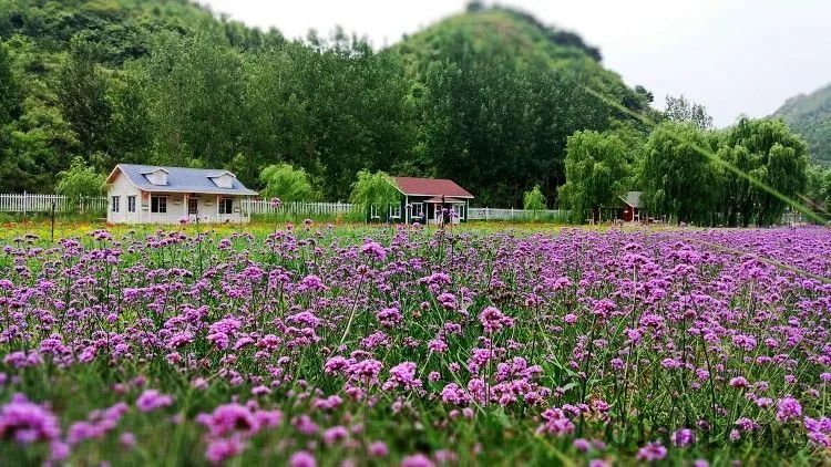 京郊亲水,京郊亲水秘境