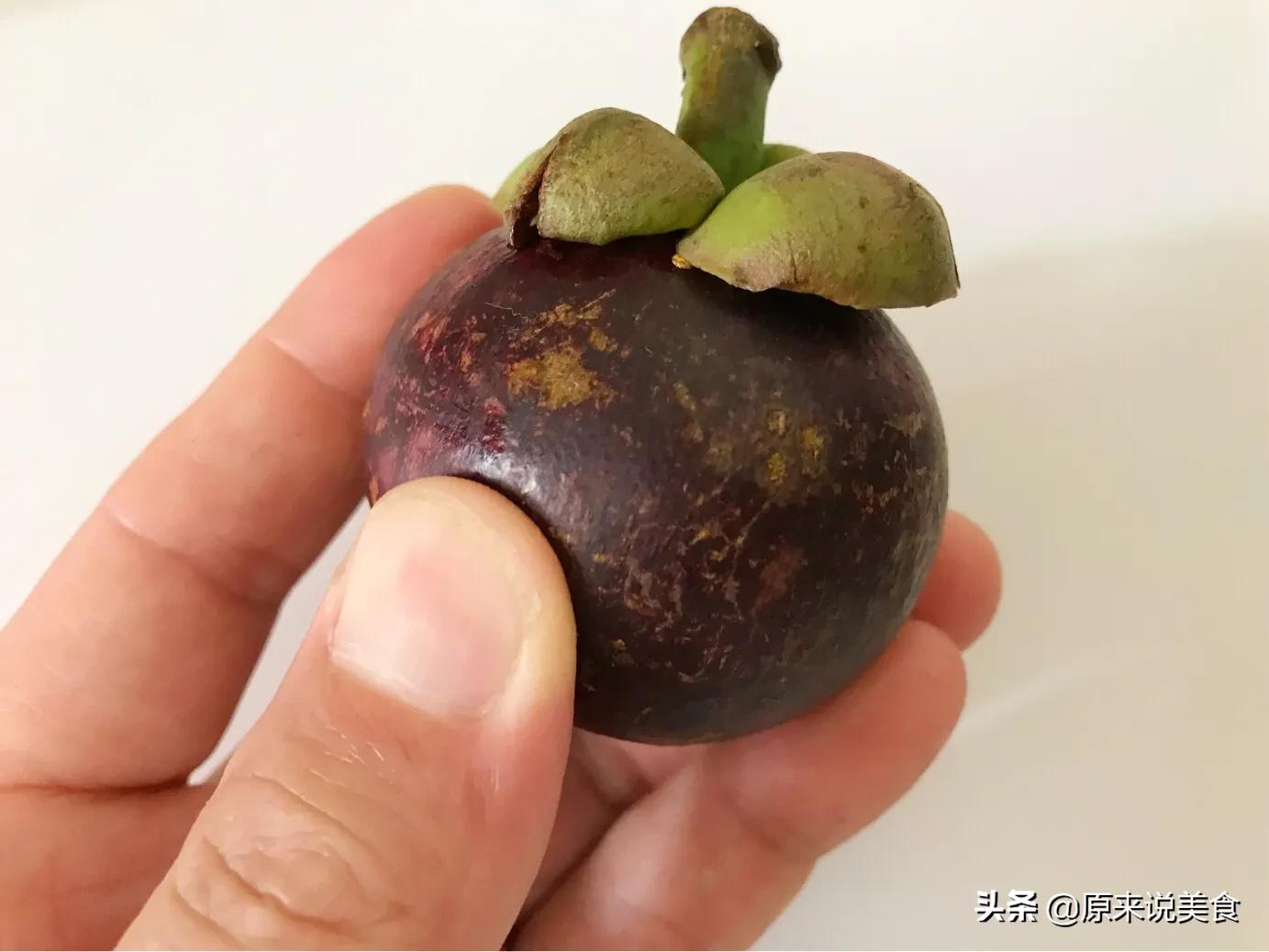 山竹怎么挑选公母不白吃,海南野生山竹树怎么分公母