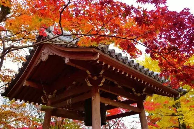 日本是一个值得一去再去、并深入探索的国家