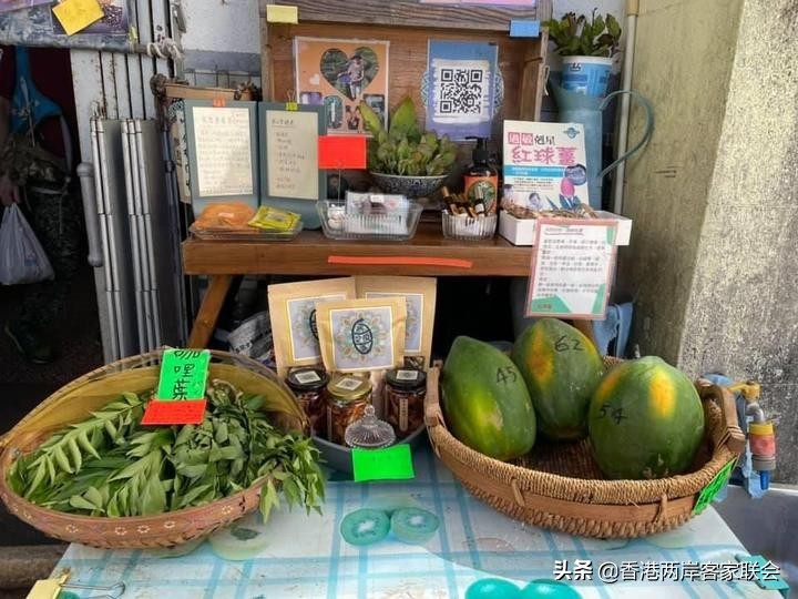 港台海外客家系列之七：客家山地百草园