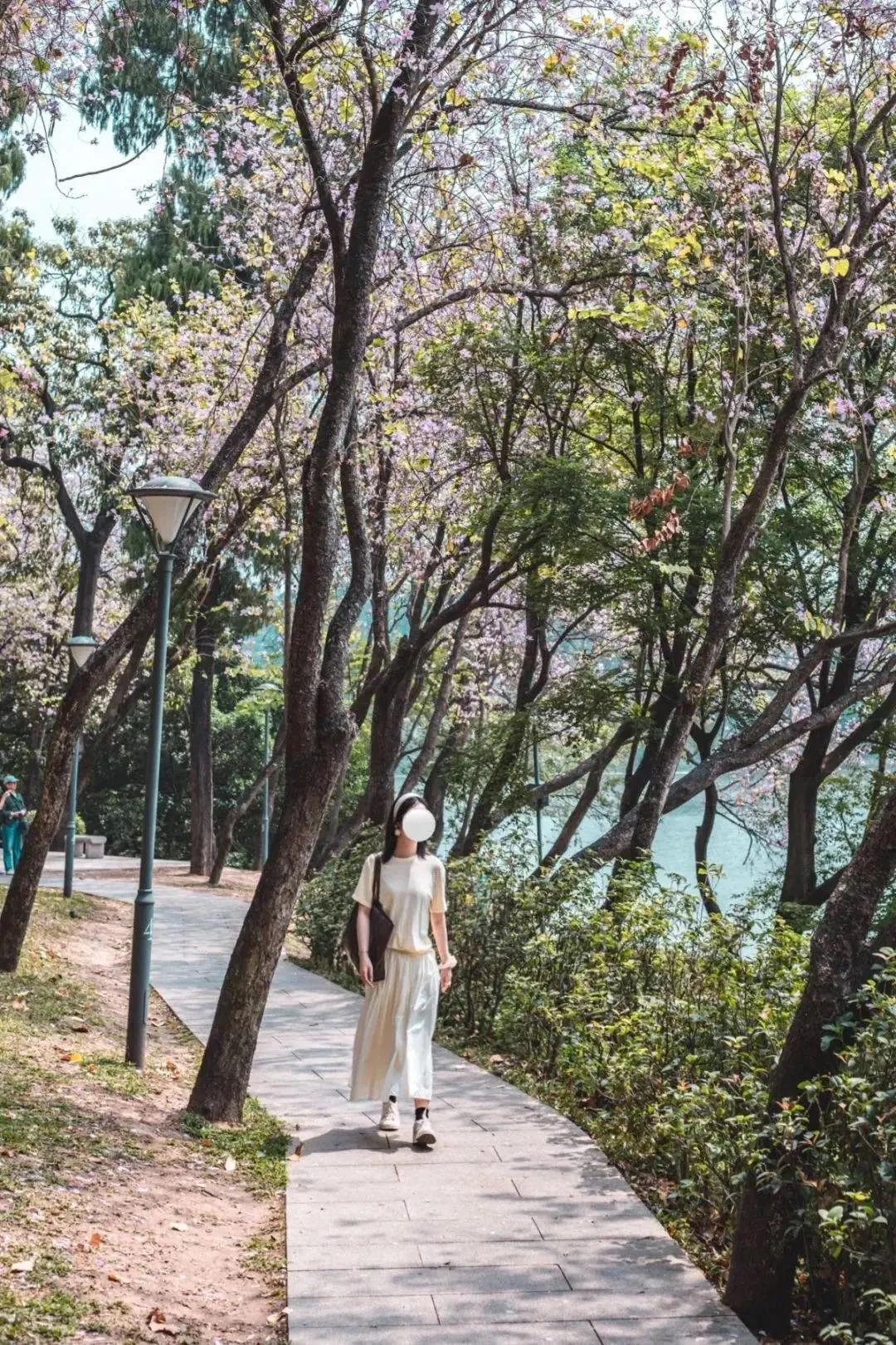 广州花都公园景点地图 (花都旅游景点分布图高清版)