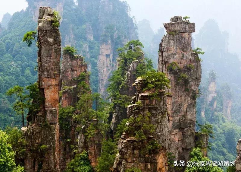 自由行张家界吃住旅游攻略,张家界旅游自由行详细攻略