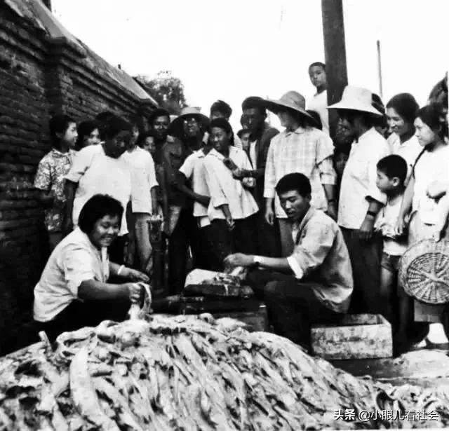 曾经，排大队也要吃上一口三毛八的带鱼