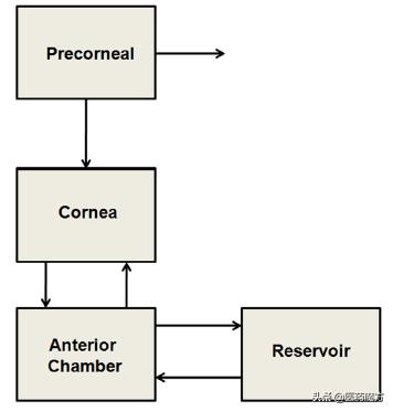 生物分析专栏|眼科用药的药代动力学和生物分析