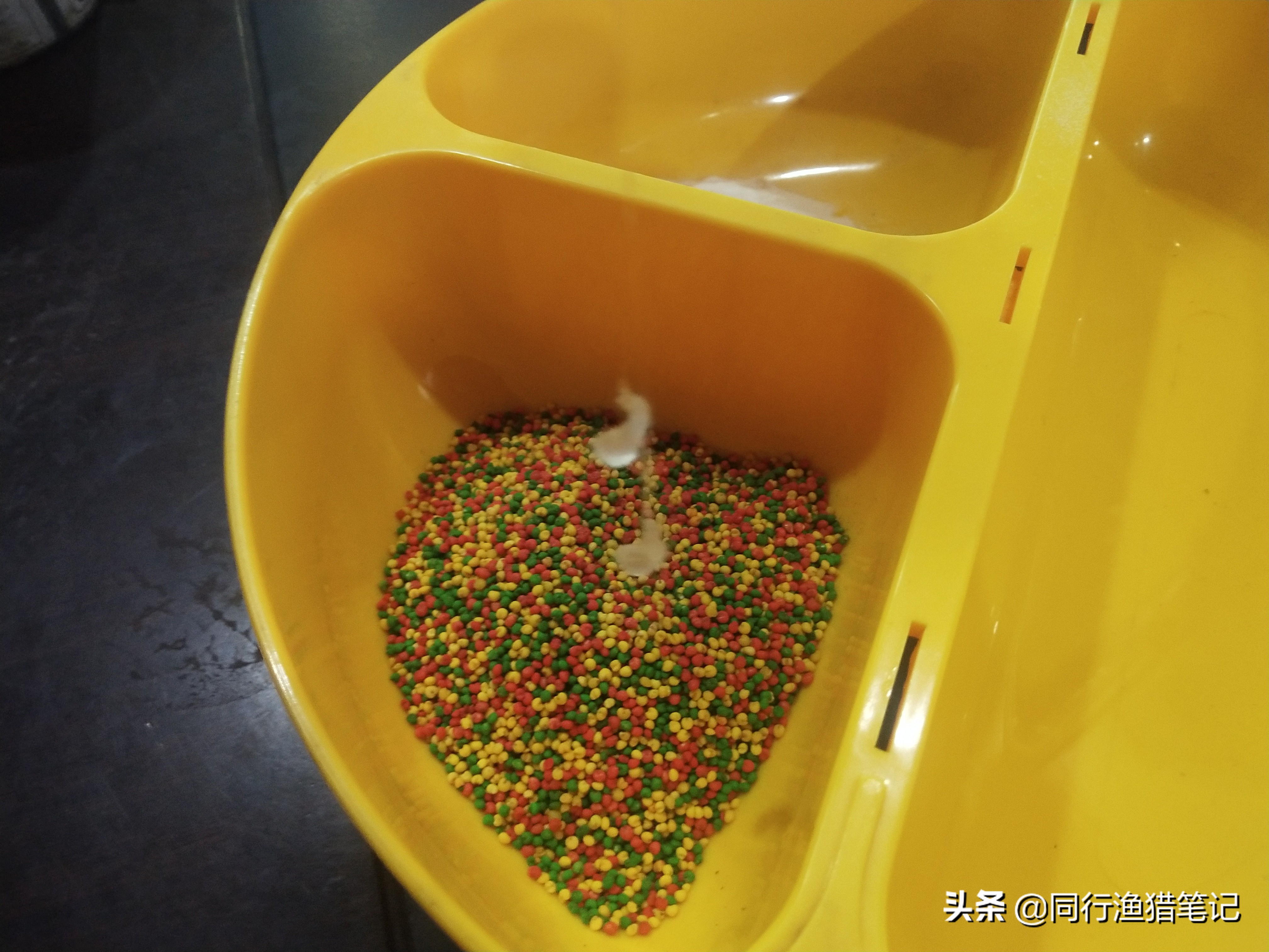 蘸料小米钓鱼,自制大米钓鲫鱼防止小杂鱼