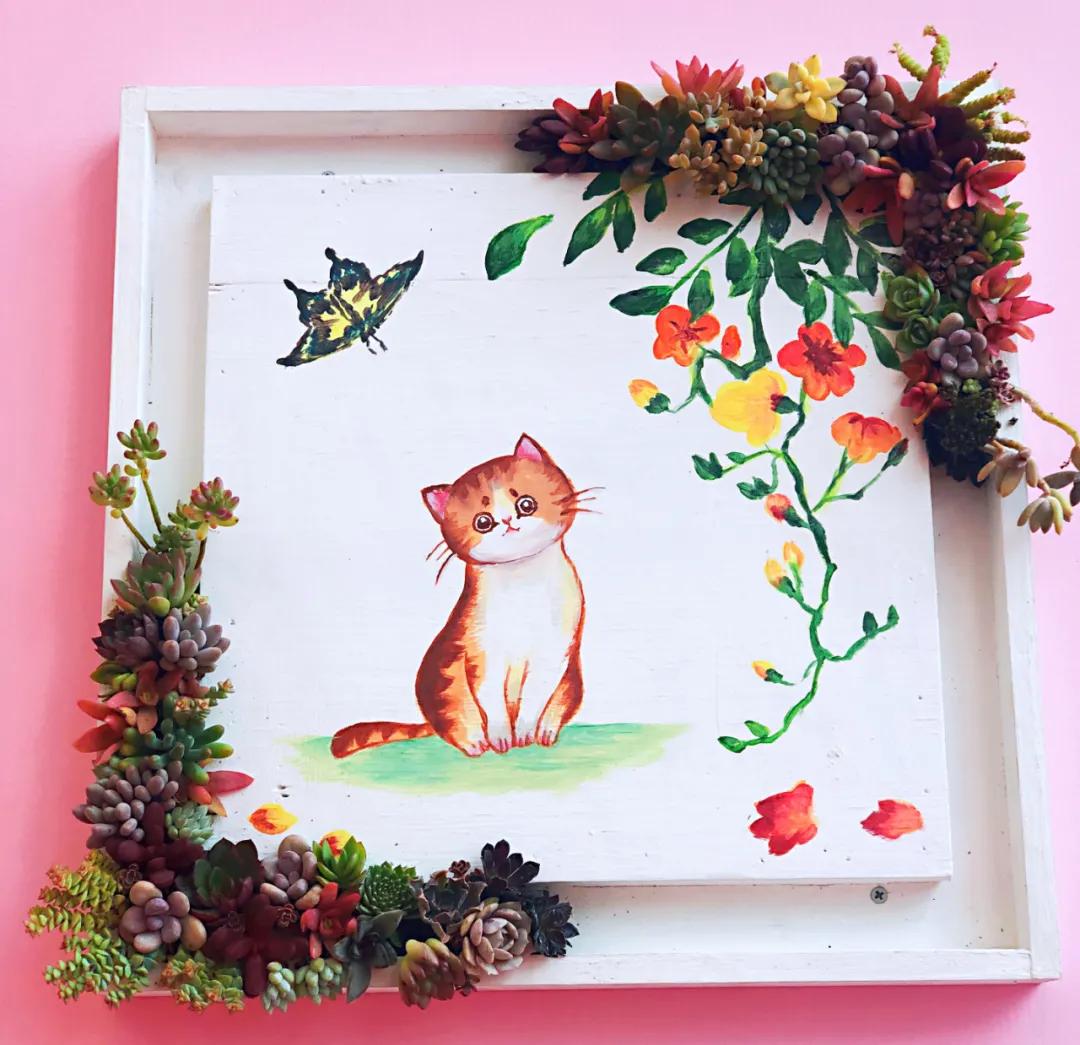 这个年销量上亿株多肉的县城，举办了首届多肉电商节