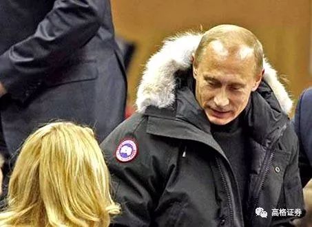 黑天鹅对战狮头鹅,黑天鹅vs雏鹅