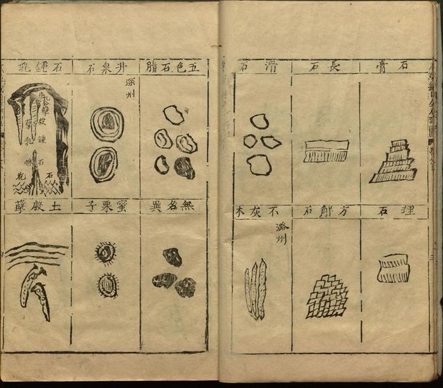 本草纲目中插图是李时珍画的吗,本草纲目李时珍插图