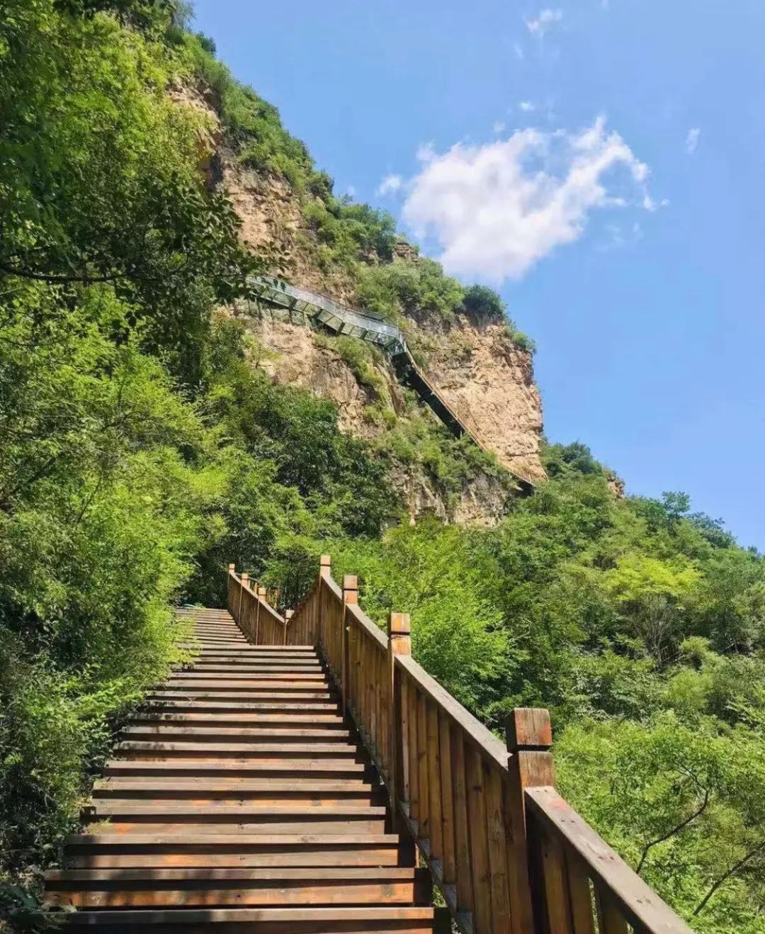 一个不出郑州的踏青好去处,天津春游公园推荐