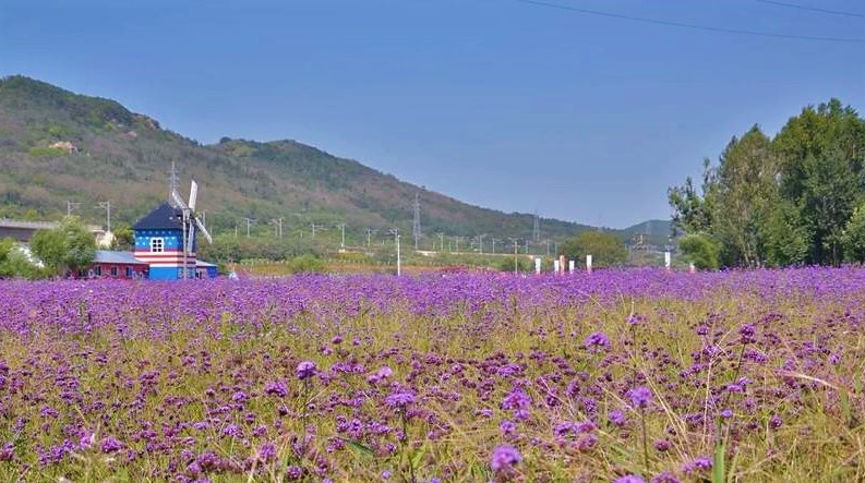 大连铭湖牧场十一还值得去吗,大连铭湖牧场多大面积