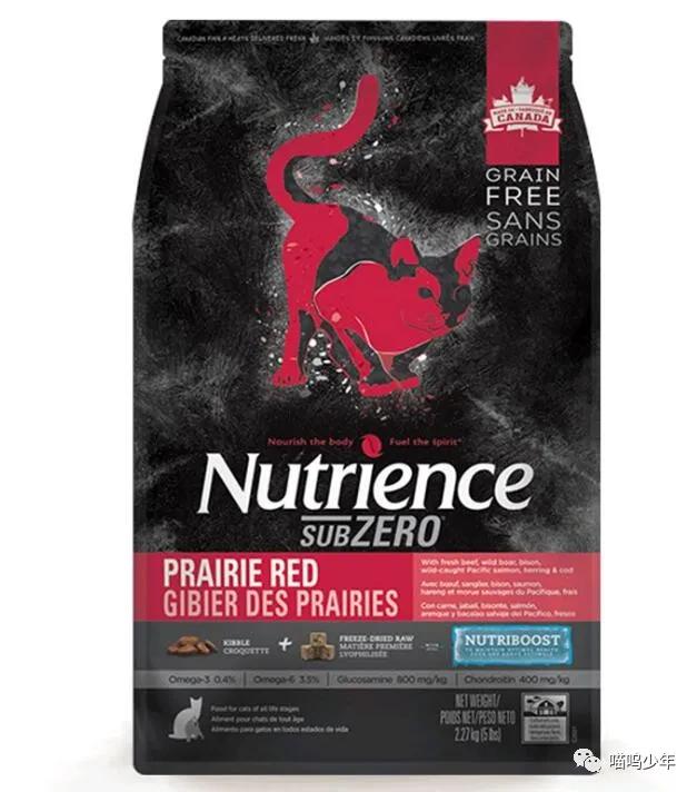 养猫真的很费钱吗？才不是呢。亲身经历告诉你养猫需要多少钱