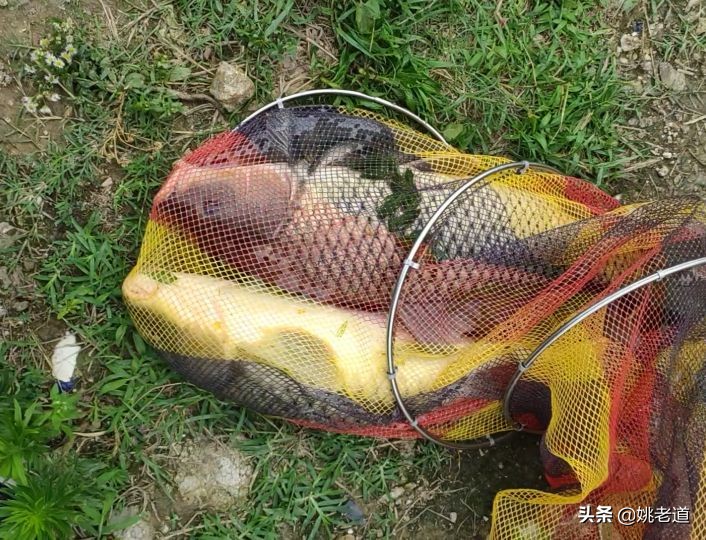 用蚯蚓钓了一辈子鱼，老人感叹：现在钓鱼技术太先进了，难怪禁钓