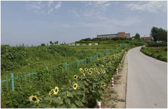 朝日集团最早进入中国,朝日集团公司现状