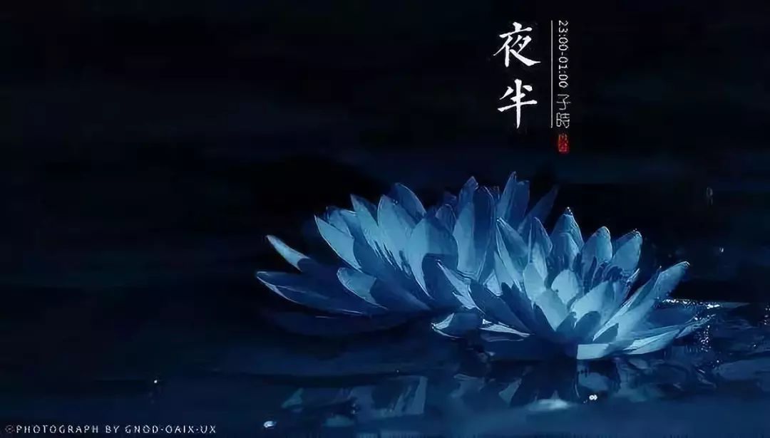 人体经络养生动作,中医养生按摩知识大全