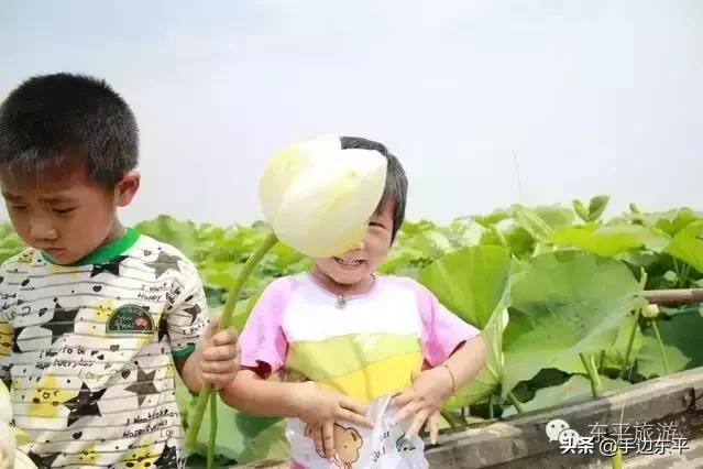 带着你的胃，寻找东平味儿