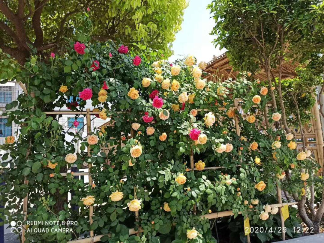 江阴人少景美,江阴有哪些人文景观