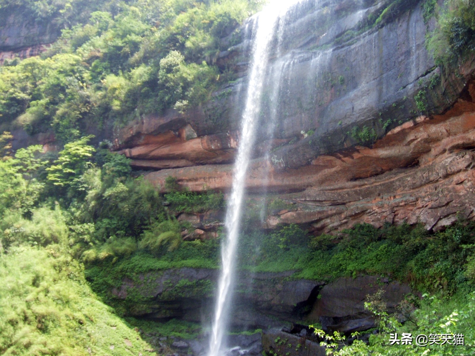四川宜宾竹海风景,宜宾蜀南竹海全视频