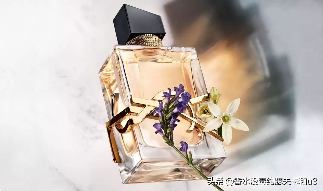 黑鸦鸦和反转巴黎哪个好闻,反转巴黎与黑鸦哪个好闻