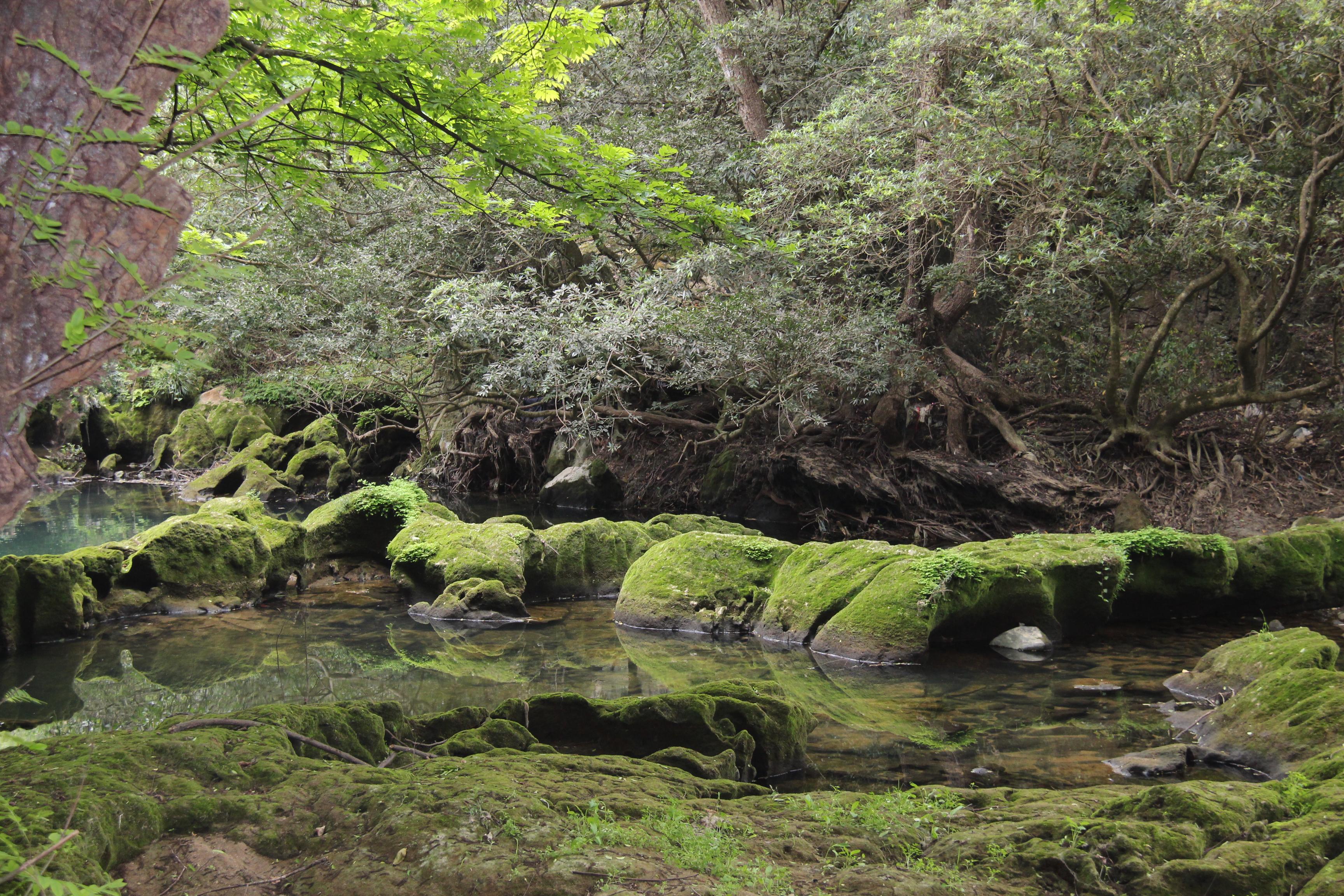 贵州黄果树天星桥瀑布太美了,打卡贵州安顺黄果树大瀑布景点