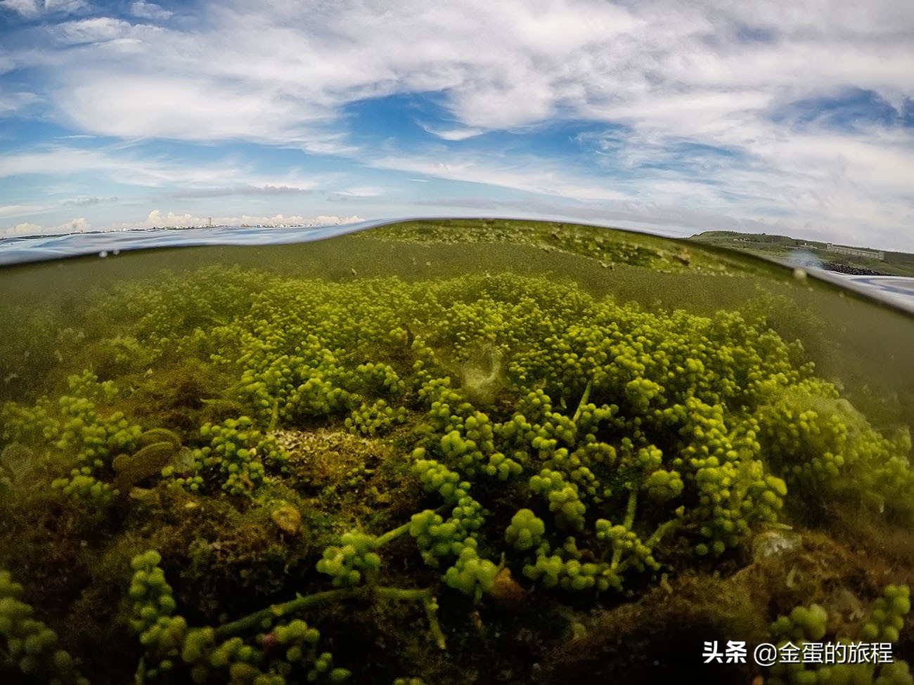 台湾海岛澎湖列岛介绍,台湾最美澎湖列岛岛屿
