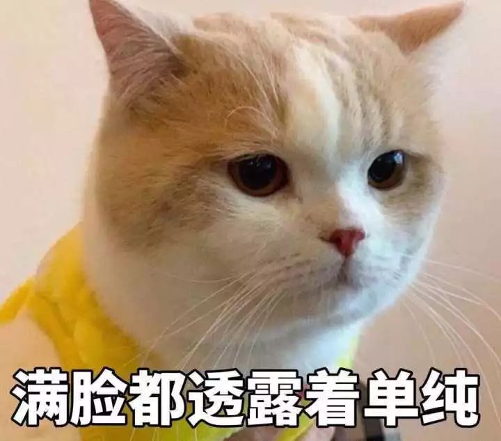 警方提醒网贷诈骗九种陷阱安全,新型网贷被骗2万