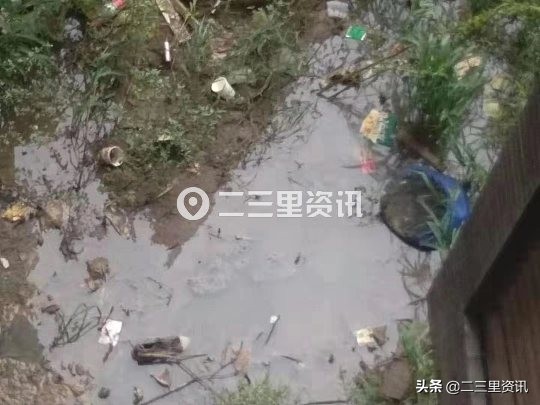 娃都受不了这味儿躲开了！楼下化粪池积水味道刺鼻小区居民苦不堪言